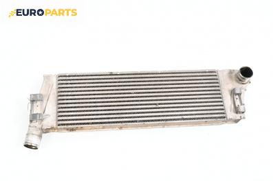 Интеркулер за Renault Megane II Hatchback (07.2001 - 10.2012) 1.5 dCi, 101 к.с.